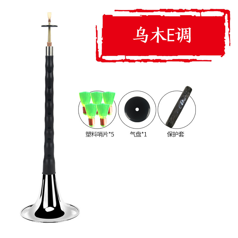 Ébano ébano suona instrumento musical bcefg ajustable tono D principiante viejo profesional niños tamaño pequeño grande Rosewood silbato