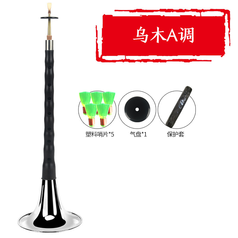 Ébano ébano suona instrumento musical bcefg ajustable tono D principiante viejo profesional niños tamaño pequeño grande Rosewood silbato