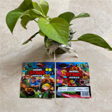 ���ƿ���b�տsĤ�S��PET�տs�����^ͨӡˢ�˺�Ĥ�ܷ�Ĥ