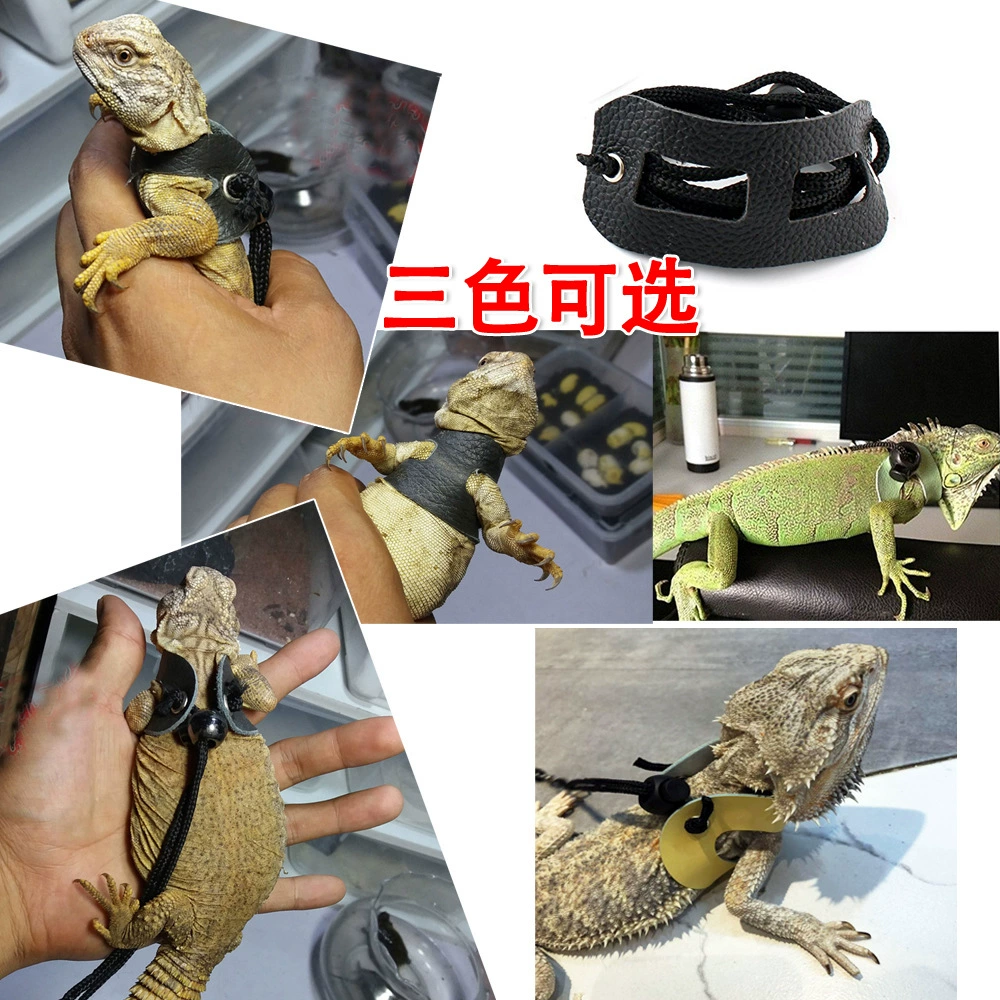 Тяговая веревка Ящерица Альпинизм Pet Out Тяговая веревка Ходячая ящерица Веревка Маленький питомец Тяговая веревка Кожаная Тяговая веревка