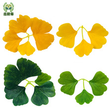 yӘ~@쾰b  ֦SɫGɫùb