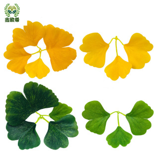 �����y�Ә��~�@���쾰�b�  �����֦�Sɫ�Gɫ�������ù����b�