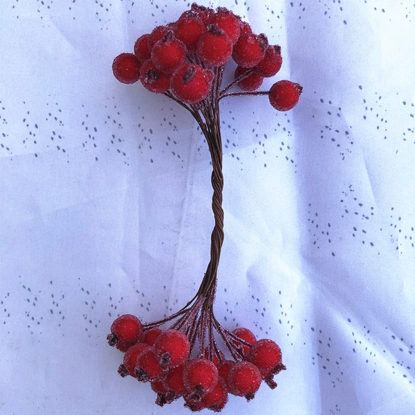 Big red fruit