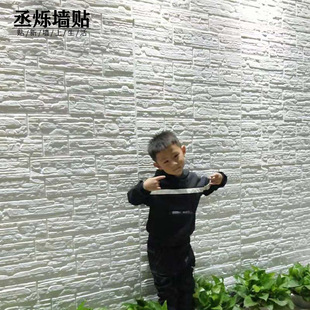 ��ճ3d���w���N�u�Ļ�ʯ��ˮ��ĭ�N���������͹��b�ײ���ұڼ�