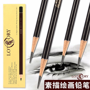 Elderly Head Pencil Sketch Drawing Pencil Art Sketch Sketch Painting Extra Thick Pencil for Beginners