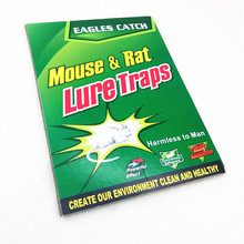 厂家直销粘鼠板五毒家用粘鼠板批发两元店货源