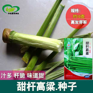 ��������N�� �r��ˈ@��U������J�������մ����֭�����N��