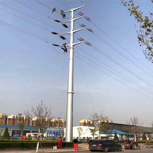 ֱ�����Ÿֹܸ� 35KV�ֹ��� �����ָ� ���Ƶ�������׮ ����