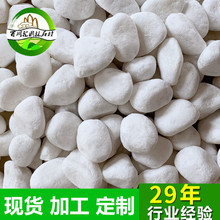 ������ʯ���Z��ʯ��ɫ �h����ʯ�@ˇ����ʯ�^����ͥԺ����쾰