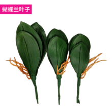 仿真花插花蝴蝶兰叶子 手感PU绿叶丝插花配件绿色植物