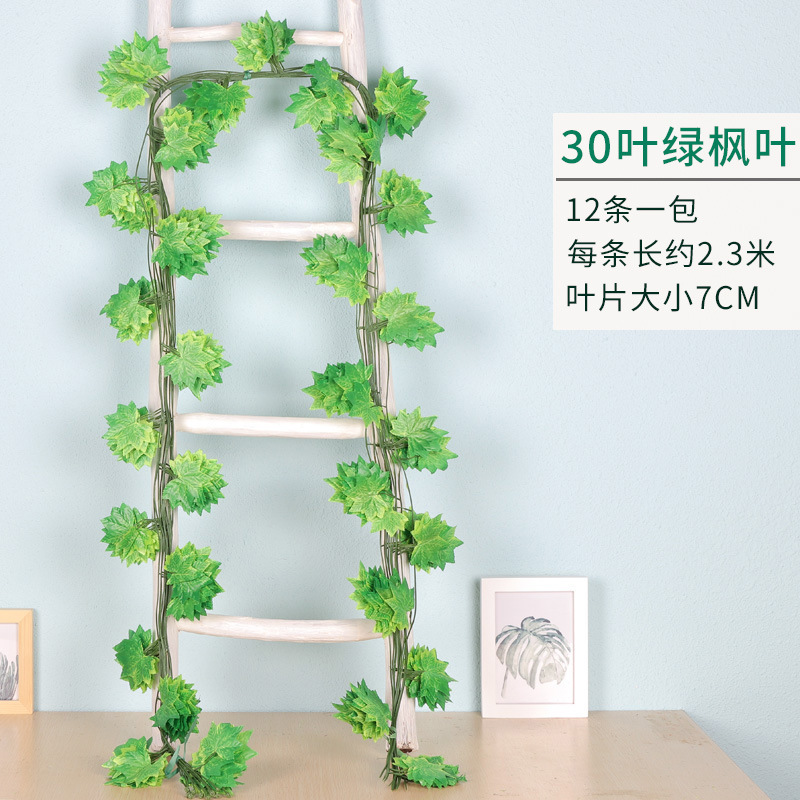 그린 단풍잎 30 장 (12 장)