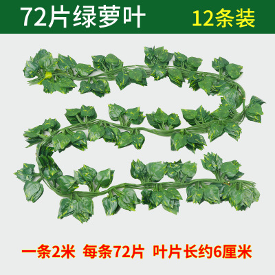 컬러 인쇄 작은 녹색 장미 잎 (12 장)