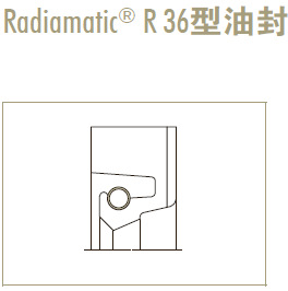 Merkel Radiamatic  R36型油封  CFW进口密封件