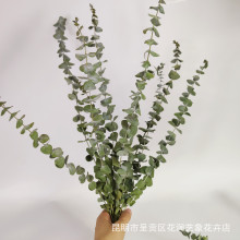 ȼ~ɻȼ~rˇ廨cbҾӔ[Y