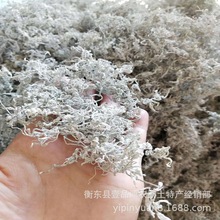 2025年龙须莓茶芽尖藤茶苦甘露产地批发样品