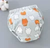 Серый фон, пухлый мишка