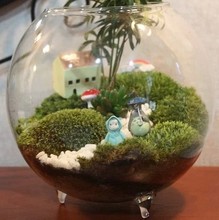 厂家 苔藓微景观生态瓶微景观玻璃瓶造景玻璃瓶 植物生态瓶