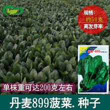 -899˷N rNsԴA~񲤲߲