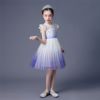 Small princess costume, dress, summer girl's skirt