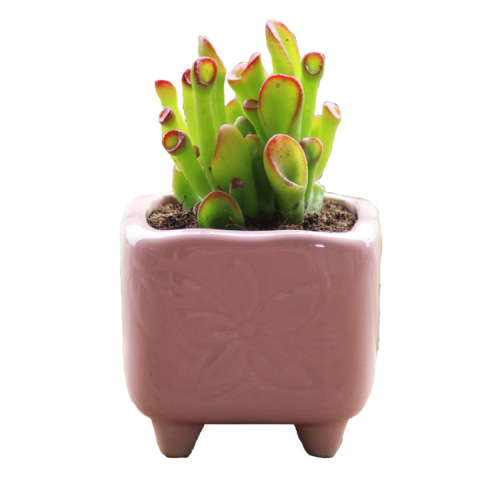 Succulent Flower Pot Ceramic Thumb Mini Plant Vase, Personalized & Creative Design, Kiln-Changed Style—Perfect for Small, Mature Succulents and Miniature Plants