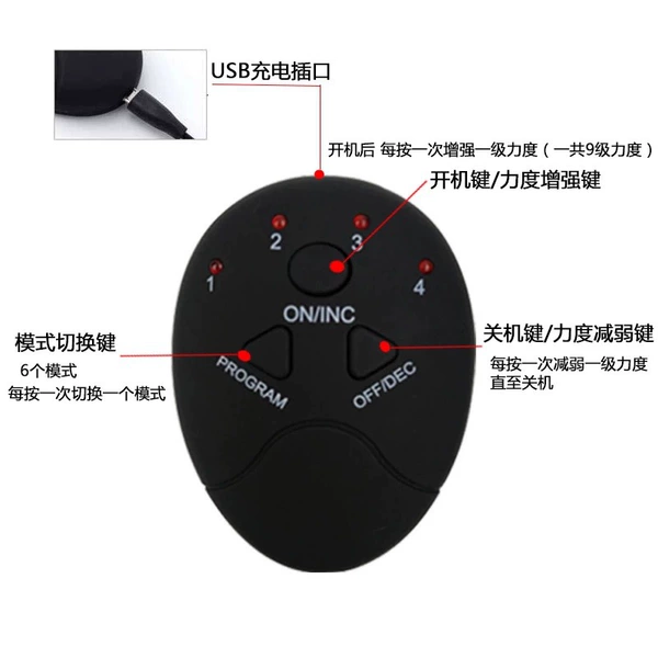 Charging host