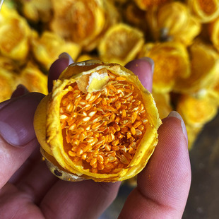 ���Ǯa�� �𻨲� �𻨲� ���� ���� �V���a�ش�؛����