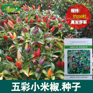 ���С�׽��N�� ��ʳ��콷 ��ʽ� �^�p�� �̨ͥԺ���Ի��N��