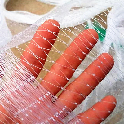 防鸟网枸杞樱桃葡萄果树果园防鸟网天网泥鳅鱼塘防护pe网养殖网|ru