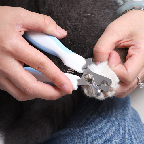 Pet Nail Clipper Dog Alloy Blade Scalp Tao Rabbit Ear Handle with File Cat Nail Clipper Supplies Wholesale
