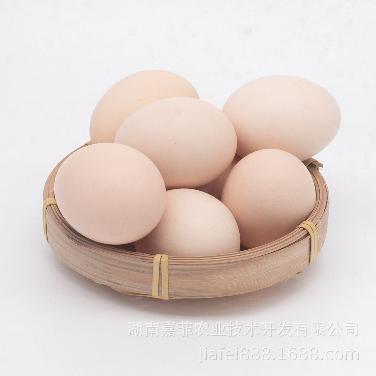 一件代发土鸡蛋散养农场新鲜面包荷包蛋水蒸蛋粉壳鸡蛋一件可批