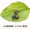 Little yellow line spider
