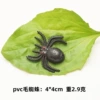 Black hair spider