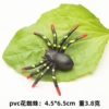 Large flower foot spider