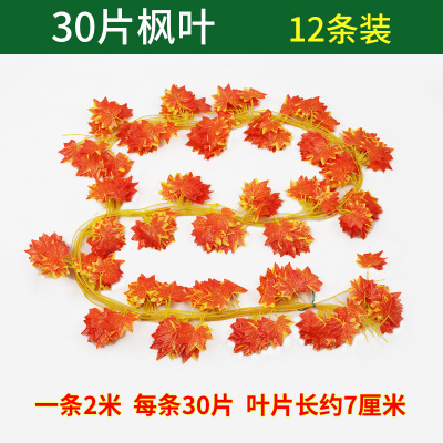 붉은 단풍잎 1 개 30 장 (12 장)