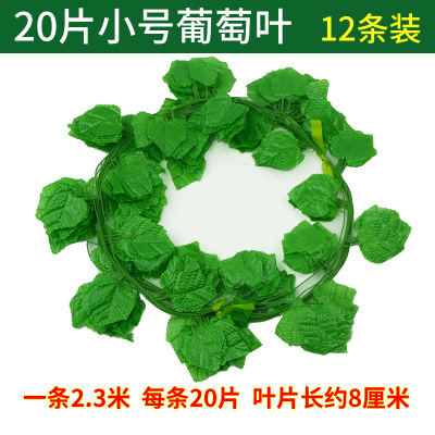 스몰 사이즈 20 12