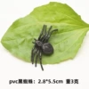 Black spider