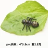 Black ants