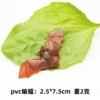 Brown bat