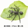 Black ant