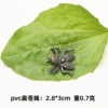 Flat flies