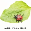 Ladybug