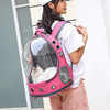 Space handheld capacious backpack to go out, worn on the shoulder, wholesale
