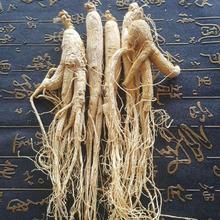 �a�ؼ����f���|���L��ɽ�˅���������񅢰�250g��؛���b�Y��