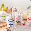 Pack U Japan Dr. Dante Pet Fruit Fruit, Vegetable Mud Cow Nutrition Mud Supplement Vitamin 100g