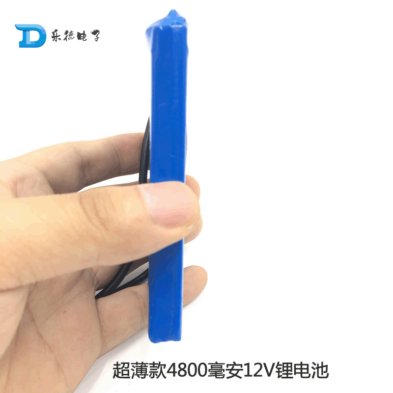 Lede Electronics 12V Ultra-Thin Polymer 4800Mah Lithium Battery for Small Devices, One-Piece Power Supply for Dropshipping
