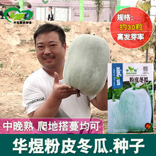 ��Ƥ���ϷN�� �r��ˈ@��Ƥ�׾GɫϞ���ض��ϷN�� �߲˷N��