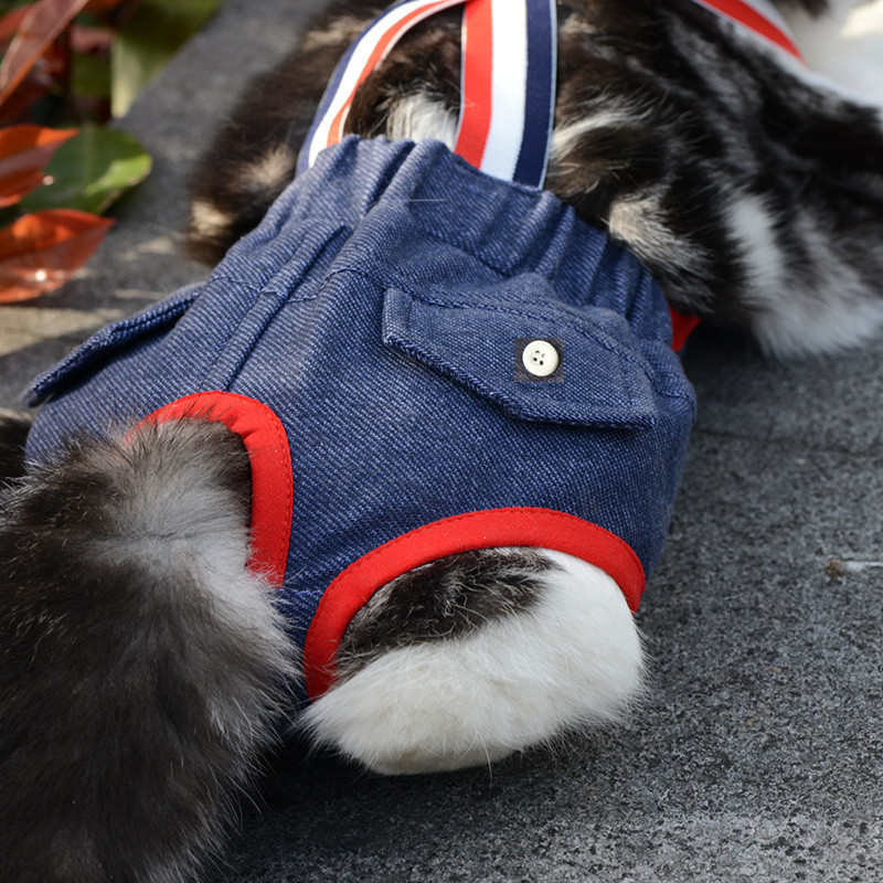 Ropa para mascotas 2020 verano nuevo gato perro peluche corgi bomei pequeño perro correa pantalones de salud al por mayor