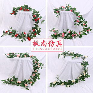 ���滨�����ٗl�ٻ����ٻ��b���10�^ ��c�_�I�b�䁻���