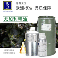 ����HRF�M�ڰ����ȼ�������䣩����Eucalyptus��޹���Ͱ�Ħ����