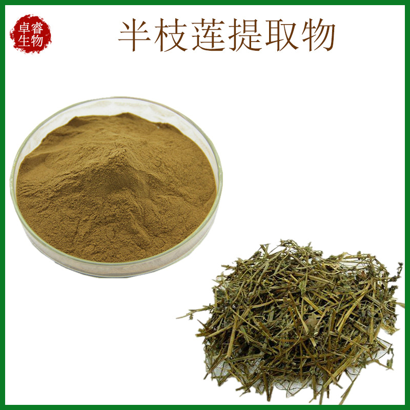 厂家 半枝莲提取物 半枝莲粉 10:1 西安卓睿现货